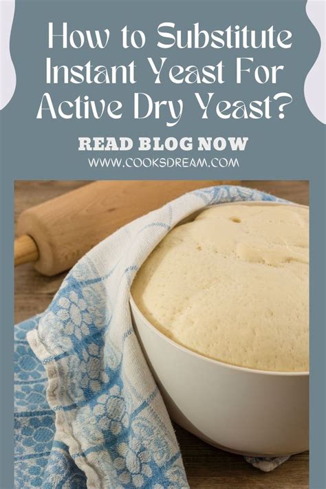 Substituting Active Dry Yeast For Large Cake Yeast: What You …