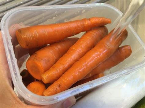 Substituting Canned Carrots for Fresh? ThriftyFun