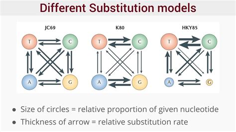 Substitution Model Wikipedia