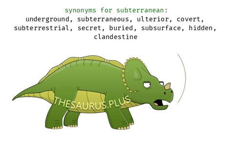 Subterranean Synonyms And Antonyms