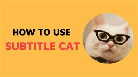 Subtitle Cat: The Ultimate Guide to Marketing Your Content