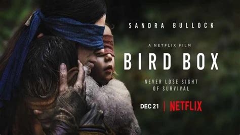 Subtitles for Bird Box – (2024) elSubtitle.com