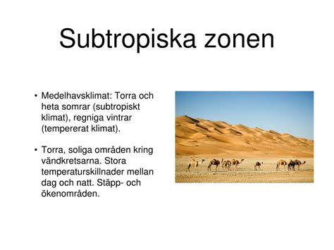 Subtropiska zonen