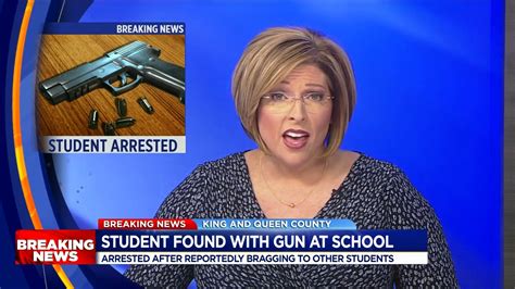 Suburban teen arrested for bringing handgun to school: police