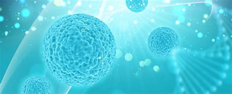 Success Rate Of Stem Cell Therapy - Mardaleishvili Medical Centre