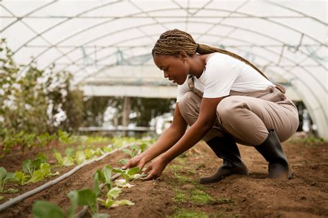Successful greenhouse farmers in kenya.  Discussing practical experiences, from...