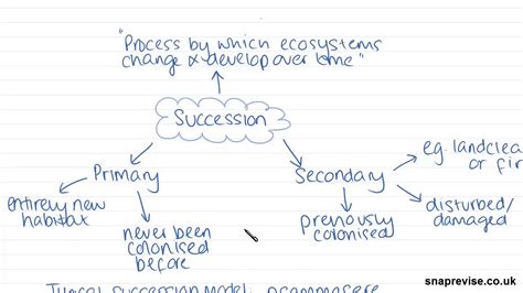 Succession A-level Geography AQA, OCR, Edexcel - YouTube