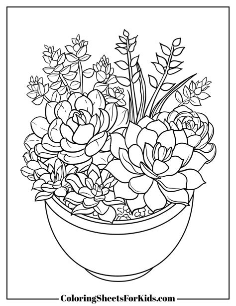 Succulent Coloring