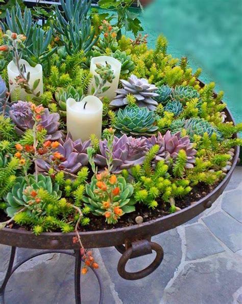 Succulent garden. Succulent Garden Inspiration. Water efficient gardens can be really beautiful! I've been able to see many succulent gardens, and wanted to share some stunning photos of a few of my favorites! Succulents and Sunshine is reader supported. We may earn a commission, if you purchase through links on our site, … 