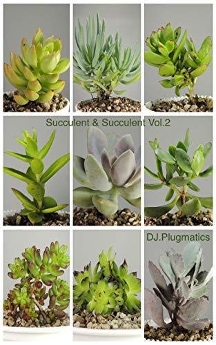 Read Online Succulent  Succulent Vol2 By Plugmatics Dj