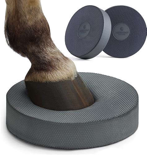 Suchergebnis Auf Amazon.de Für: Balance Pads Pferd