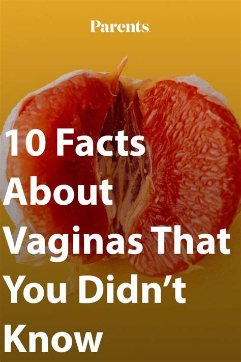 Sucking of vigina. An orgasm is characterized by rhythmic muscle contractions of the lower part of the vagina, the uterus and the anus as well. The contractions come around once every 0.8 seconds and gradually ... 