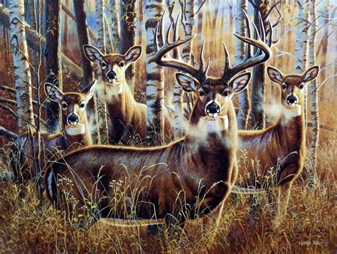 Sudden Encounter Limited Edition Print by Cynthie Fisher …