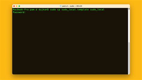 Sudo access mac terminal password.  To learn about sudo, open the Terminal app and enter m...