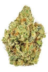 Sugar Biscuit Marijuana Strain Information & Reviews AllBud