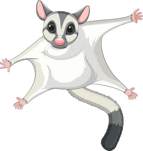 Sugar Glider Cartoon - Etsy UK