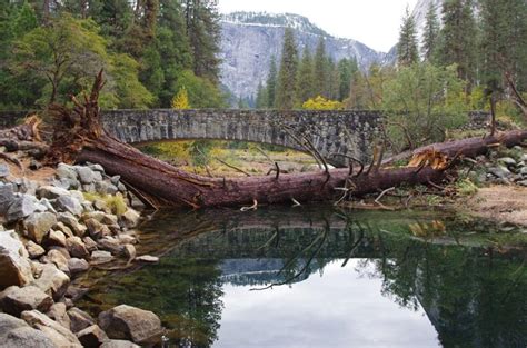 Sugar Pine Bridge Natural Atlas