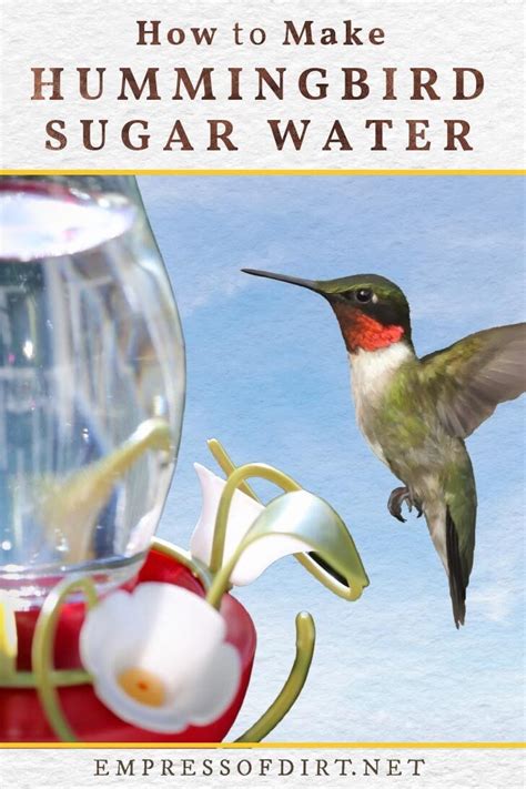 Apr 6, 2024 · Many people put out hummingbird feeders filled with sugar water to replicate nectar. Sugar water mixtures are easy to make, and just require a 1:4 ratio of sugar and water. Sharks, lions ... . 