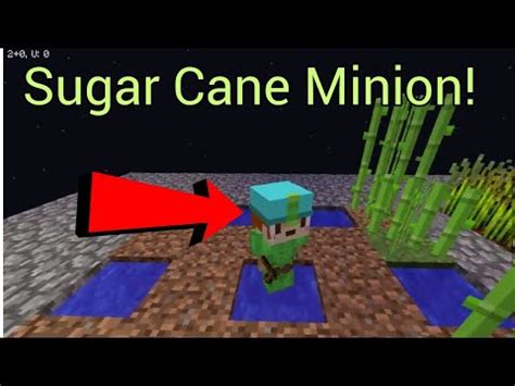 Sugar cane minion. Things To Know About Sugar cane minion. 