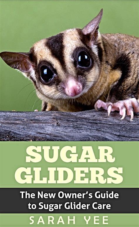 Sugar gliders the new owners guide to sugar glider care sugar glider sugar glider care sugar glider books. - Volvo truck manual for repair d12.