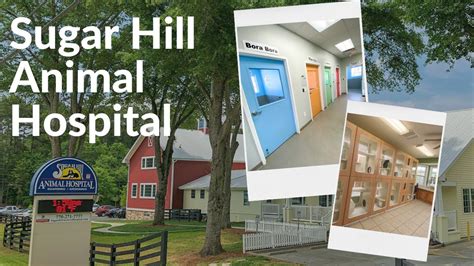 Sugar hill animal hospital. Things To Know About Sugar hill animal hospital. 