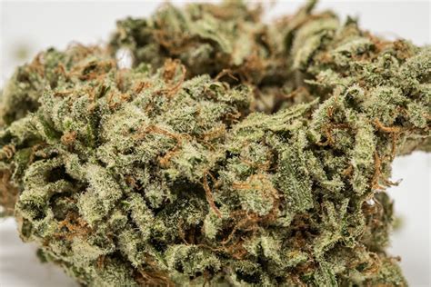 Sugar shack strain. Sugar Shack is a mostly indica hybrid cannabis plant with a sweet and fruity aroma and a potent uplifting high. Learn about its lab data, history, lineage, effects, and how to buy it near you. 