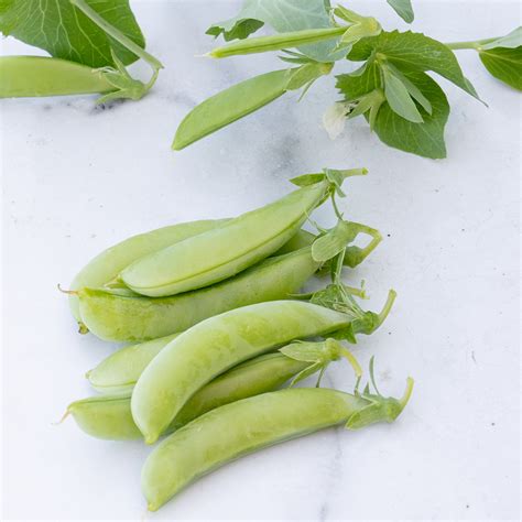 😈 [SEX VIDEO] Sugar_Ann Onlyfans Leaked