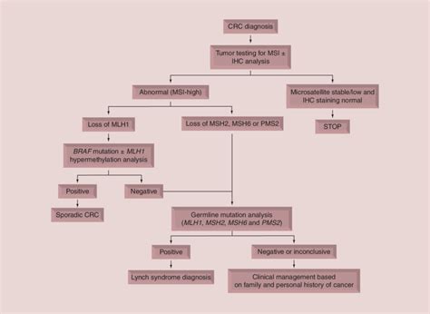 Suggested algorithm for molecular and testing for Lynch