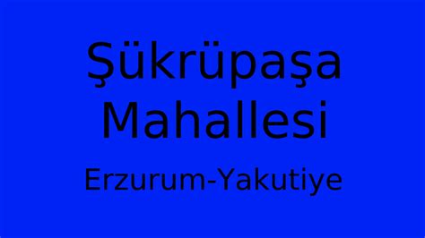 Sukrupasa Halı ve Koltuk Yıkama