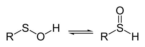 Sulfenic acid - Wikipedia