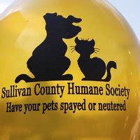 Sullivan county humane society. Things To Know About Sullivan county humane society. 