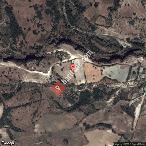 Suluntas Halı ve Koltuk Yıkama