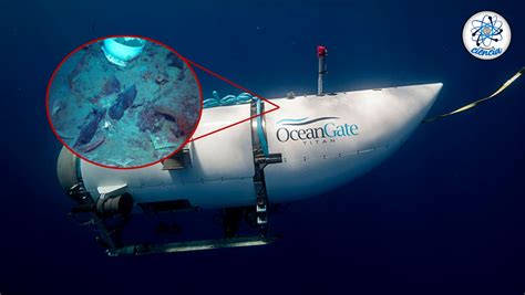 22 thg 6, 2023 ... Desde muy temprano el sumergible Titan de la compañía OceanGate se revisa de manera minuciosa. ... pasajero llevará lo indispensable dentro de una ...