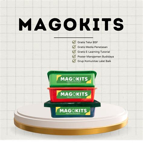 Sumerkan Halı ve Koltuk Yıkama