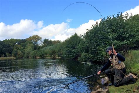 Summer Fly Fishing At Chalk Springs Trout Fishery 2024