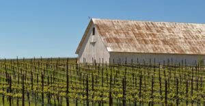 Summer Road Trips: Midwestern Wine Trails - The Saturday Evening Post