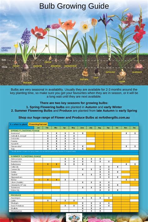 Summer bulbs an illustrated guide to varieties cultivation and care. - Vw sharan 1 9tdi repair manual.