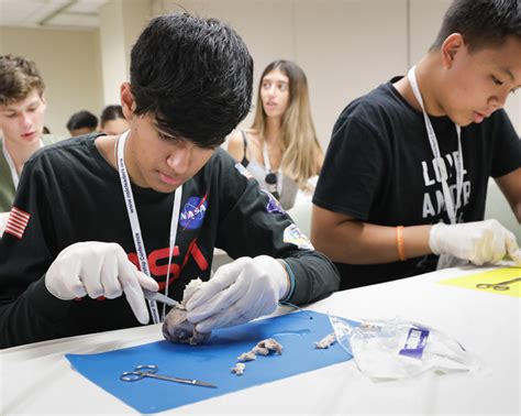 Summer medical programs for high school students near me. .  <a href=https...