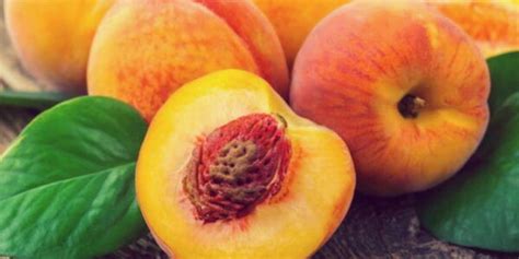If you’re lucky enough to have a miniature peach tree in your garden, you know just how delightful it is to bite into a juicy, homegrown peach. These petite trees not only add beau...