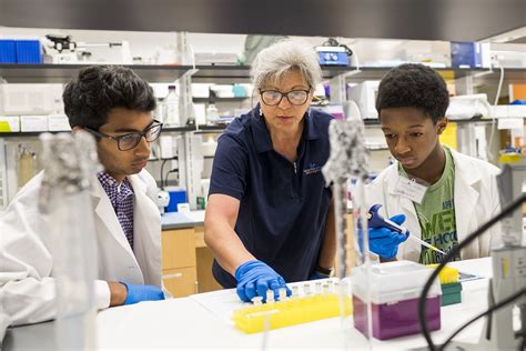 Summer science program 2018 college confidential. The summer of 2020 left millions of people across the globe feeling bored and isolated, but, thanks to a legion of Twitch streamers and YouTubers, a little free-to-play game from 2018 saw a surge of popularity. 