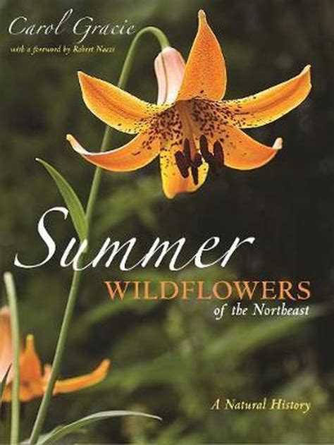 Full Download Summer Wildflowers Of The Northeast A Natural History By Carol Gracie