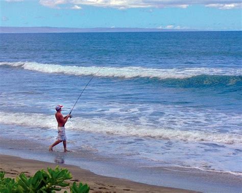 Summertime Pomps In The Surf - Coastal Angler & The Angler Magazine