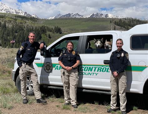 Summit county animal control. Most county animal control services do not offer nuisance wildlife management or support. Summit County services only deal with domestic animals. If you have any type of wildlife problem or need pest control, trapping, or for wildlife prevention in Summit County , call 1-888-488-7720 and ask for Wildlife Willy . 