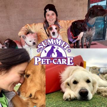 Summit pet care. Things To Know About Summit pet care. 