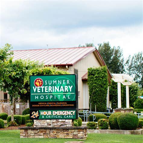 Sumner veterinary hospital. Sumner Veterinary Hospital offers veterinary services, 24*7 emergency care, preventive, dentistry, diagnostics, and surgery services. Sumner , Washington , United States 11-50 