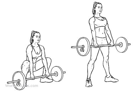 Sumo Barbell Deadlift – WorkoutLabs Exercise Guide