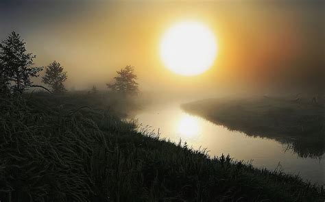🍌 Sun_In_A_Fog Leaks [HD]