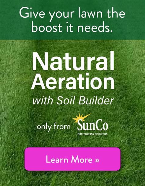 Sunco lawns. If you’re looking for an organic hybrid fertilizer program, look no further! In this blog post, we will discuss SunCo’s organic fertilization and how it helps your lawn reach its full potential while protecting your children and pets. So, whether you’re a new homeowner or you’ve been taking care of your lawn for years, read on! 