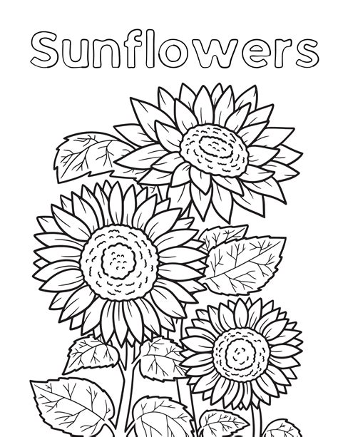 Sunflower Coloring Sheets