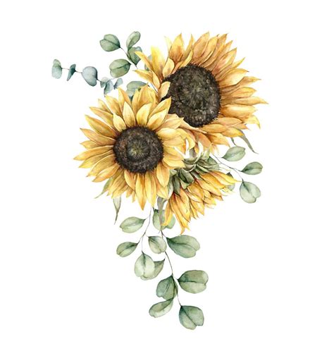 Sunflower Design Drawing